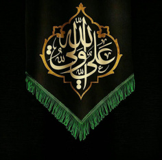 z629.jpg